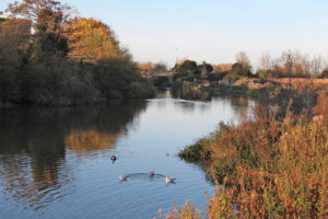 Nature Reserve Credit: Visit Wiltshire 