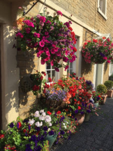 Flowers Melksham Credit: Visit Wiltshire 