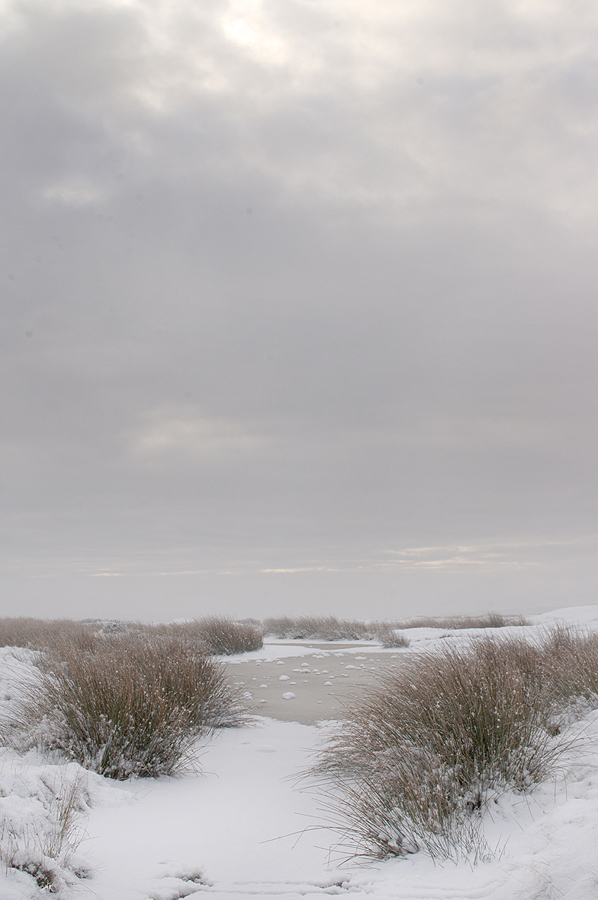 Magical Moor in Winter - Geoff Tynan 