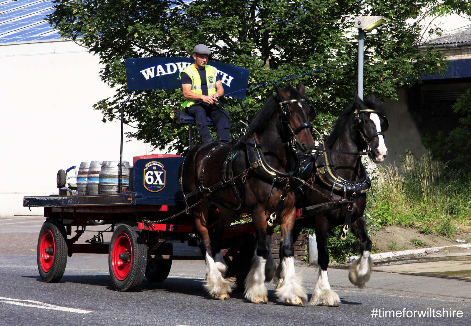 Shire horses delivery casks of ale (c)visitwiltshire.co.uk