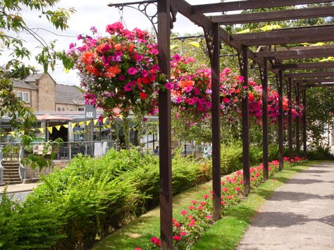 Wetherby in Bloom © Wetherby Town Council