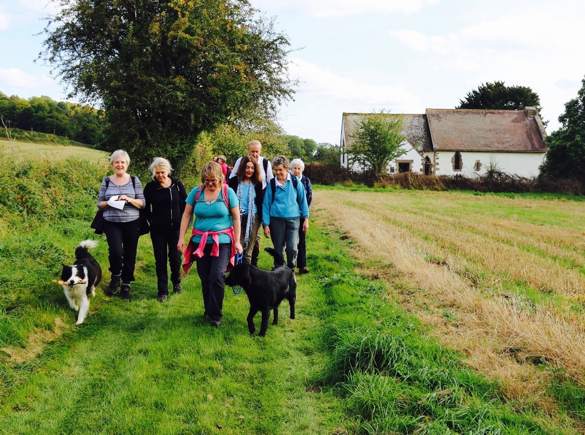 People walking with dogs at the Walking Festival © Ross on Wye Town Council