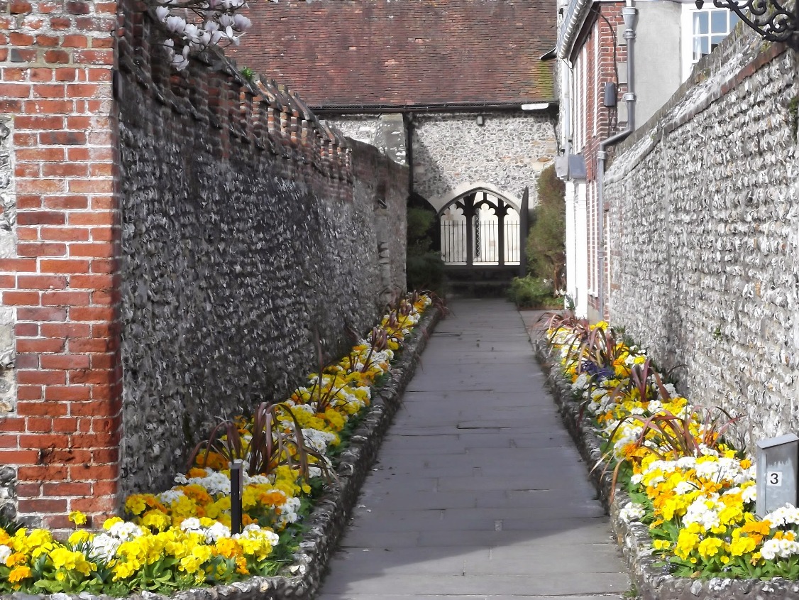 Cathedral in spring showing primroses in bloom © Picklecat