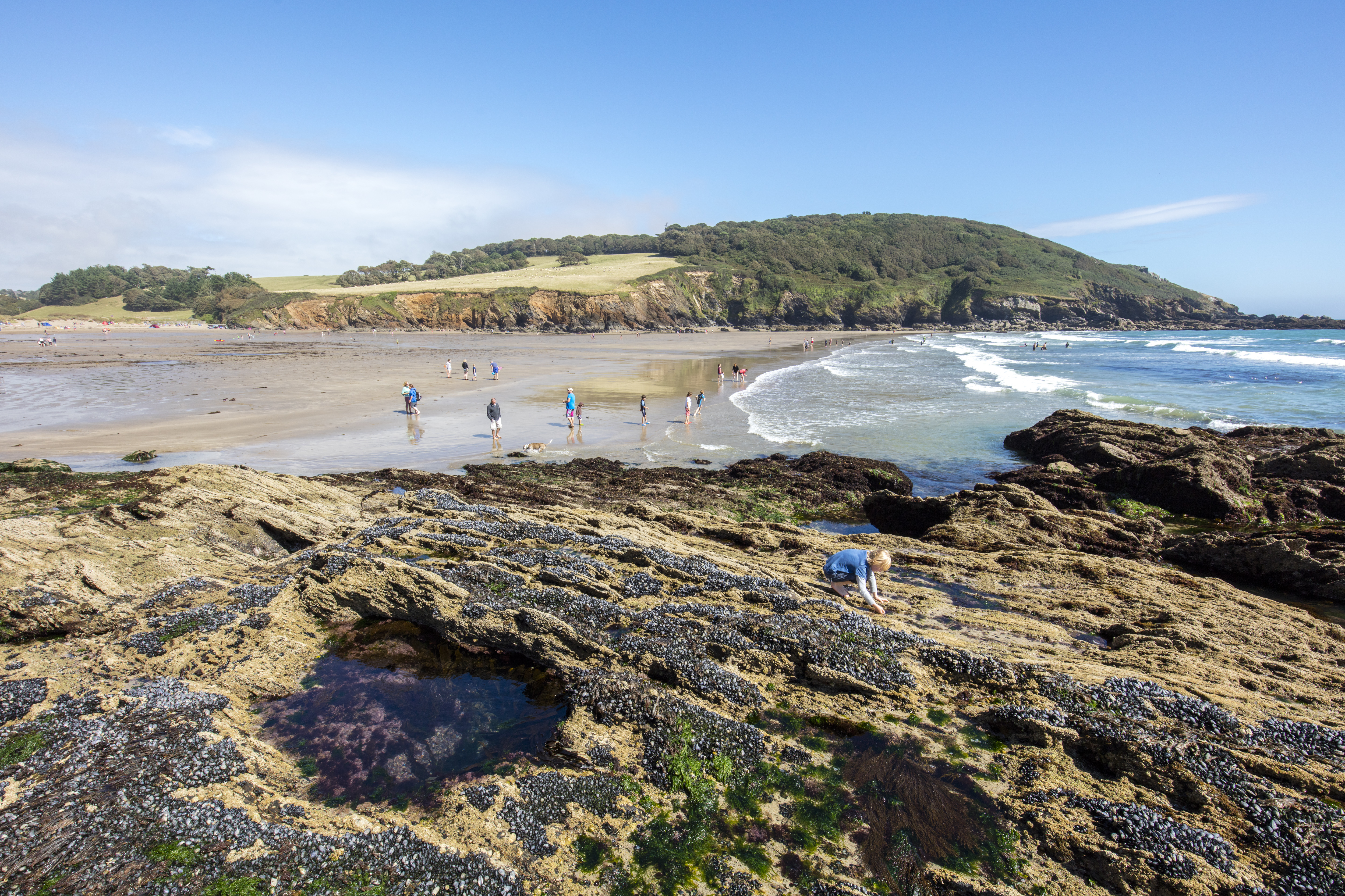 Beaches St Austell area Porthluney Cove