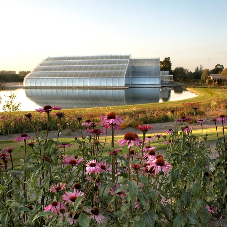 Woking - RHS Wisley, The Glasshouse and lake, summer
