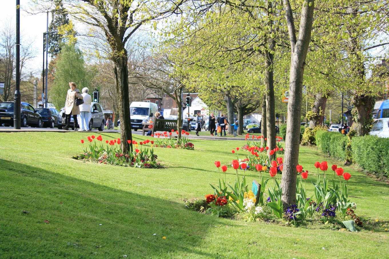 Lower High Street Harpenden showing trees coming into leaf in spring with red tulips and spring flowers on the ground © Harpenden Town Council